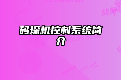 碼垛機控制系統簡介