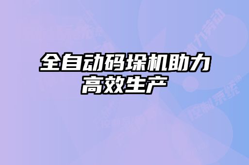 全自動碼垛機助力高效生產