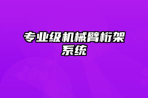 專業級機械臂桁架系統