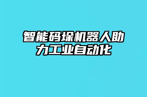 智能碼垛機器人助力工業(yè)自動化