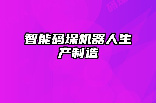 智能碼垛機器人生產制造