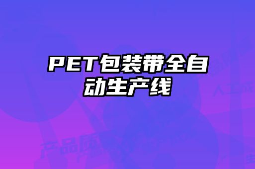 PET包裝帶全自動生產線