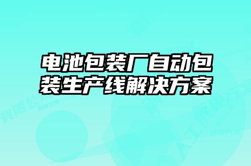 電池包裝廠自動包裝生產線解決方案