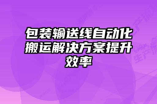 包裝輸送線自動化搬運解決方案提升效率