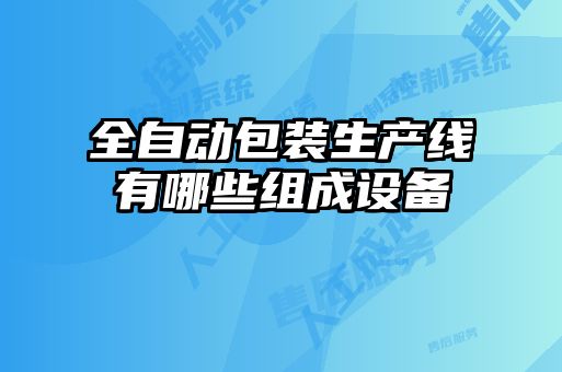 全自動包裝生產線有哪些組成設備