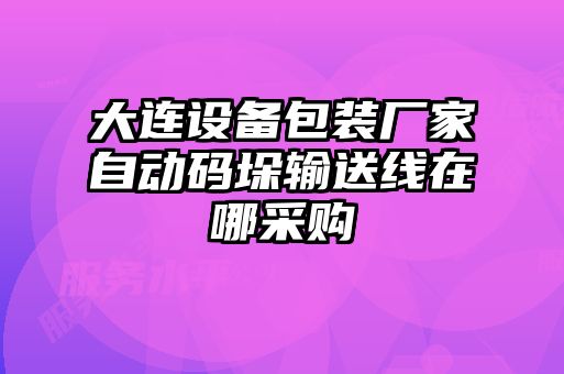 大連設備包裝廠家自動碼垛輸送線在哪采購