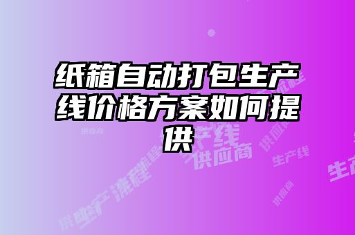 紙箱自動打包生產線價格方案如何提供