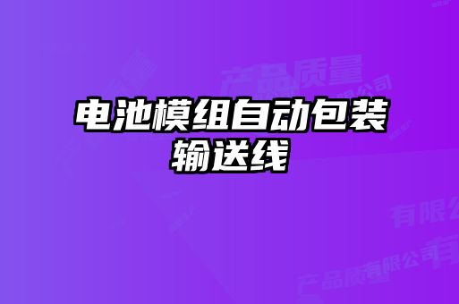 電池模組自動包裝輸送線