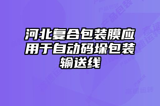 河北復合包裝膜應用于自動碼垛包裝輸送線