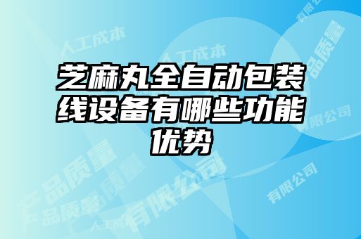 芝麻丸全自動包裝線設備有哪些功能優勢