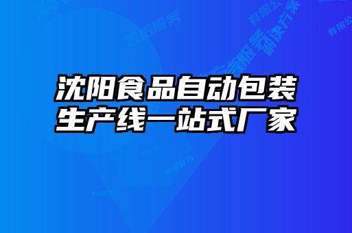 沈陽食品自動包裝生產線一站式廠家