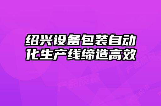 紹興設備包裝自動化生產線締造高效