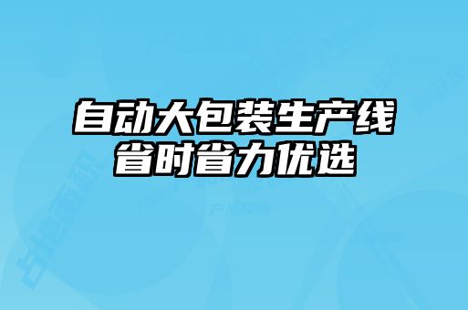 自動大包裝生產線省時省力優選