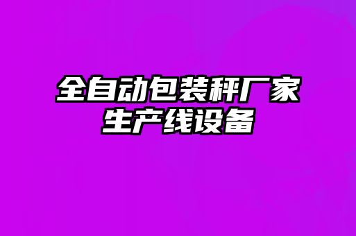 全自動包裝秤廠家生產線設備