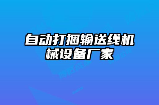 自動打捆輸送線機械設備廠家