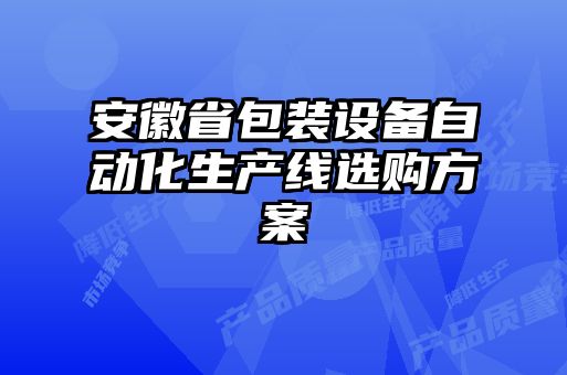 安徽省包裝設備自動化生產(chǎn)線選購方案