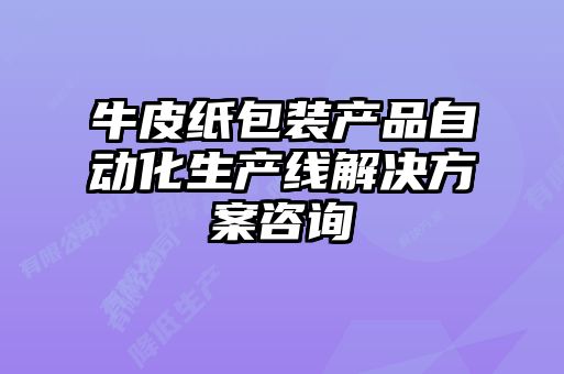 牛皮紙包裝產品自動化生產線解決方案咨詢