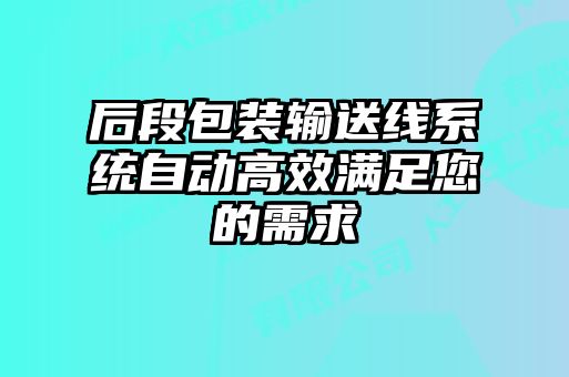 后段包裝輸送線系統自動高效滿足您的需求