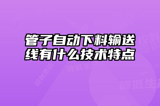 管子自動下料輸送線有什么技術特點